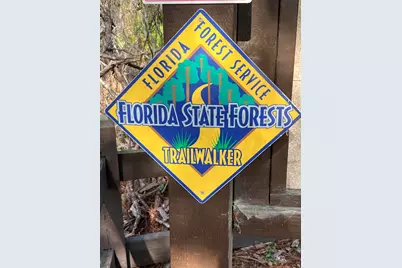 148 Channel Shoal Drive #Lot 1, Santa Rosa Beach, FL 32459 - Photo 11