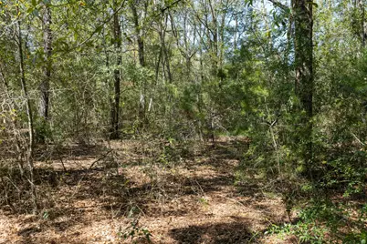 1.385 Acres On Walton Road, Defuniak Springs, FL 32433 - Photo 3