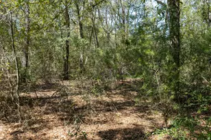 1 385 Acres On Walton Rd, Defuniak Springs, FL 32433 - Photo 3