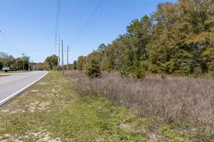 1 385 Acres On Walton Rd, Defuniak Springs, FL 32433 - Photo 5