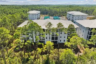 179 S County Hwy 393 S, Santa Rosa Beach, FL 32459 - Photo 3