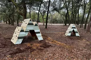 311 Sweet Basil Ln, Niceville, FL 32578 - Photo 79