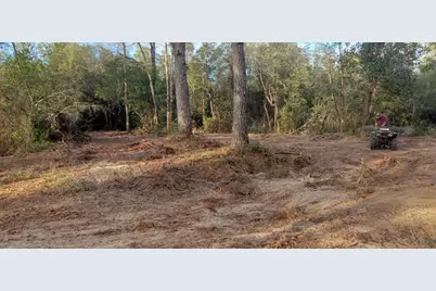 Tbd Sowell Drive, Crestview, FL 32539 - Photo 7