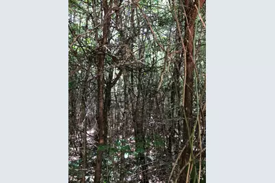 Parcel A Yellow River Baptist Church Road #22 AC+/-, Baker, FL 32531 - Photo 7