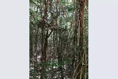 Parcel B&c Yellow River Baptist Church Road, Baker, FL 32531 - Photo 5