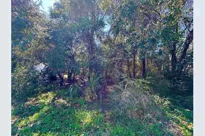 Lot 1 Wynnehaven Beach Road, Mary Esther, FL 32569 - Photo 9