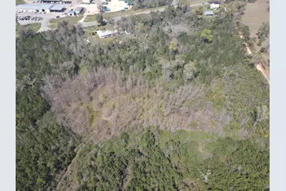 58+/ Acres South Street, Marianna, FL 32448 - Photo 7