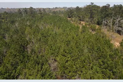 58+/ Acres South Street, Marianna, FL 32448 - Photo 17