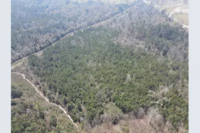 58+/ Acres South Street, Marianna, FL 32448 - Photo 13