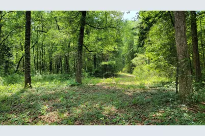 Lot 5 River Loop Drive, Crestview, FL 32536 - Photo 3