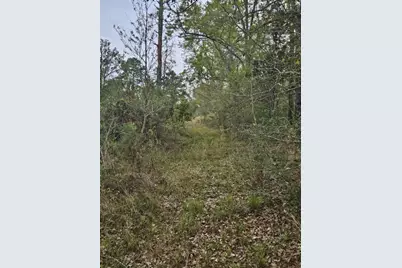 1400 Grant Road Road, Ponce de Leon, FL 32455 - Photo 3