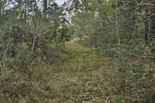 1400 Grant Road Rd, Ponce de Leon, FL 32455 - Photo 3