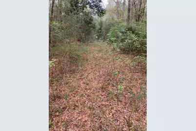 Xxx Works Road, Caryville, FL 32427 - Photo 5