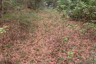 Xxx Works Rd, Caryville, FL 32427 - Photo 5