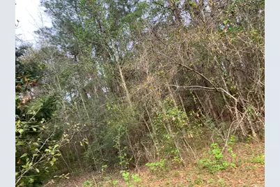 Xxx Works Road, Caryville, FL 32427 - Photo 3