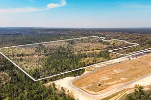 3211 Maple St, Crestview, FL 32539 - Photo 3