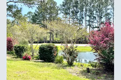 46 Hemingway Lane, Freeport, FL 32439 - Photo 13