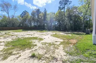 325 Bass Haven Dr, Defuniak Springs, FL 32433 - Photo 29