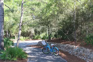 145 Spires Ln, Santa Rosa Beach, FL 32459 - Photo 33