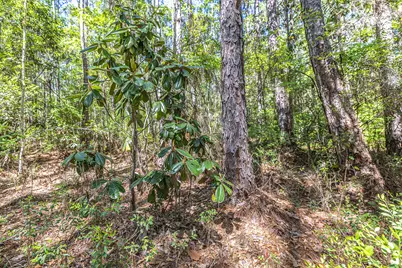 Lot 7 191 Mallet Road, Freeport, FL 32439 - Photo 9