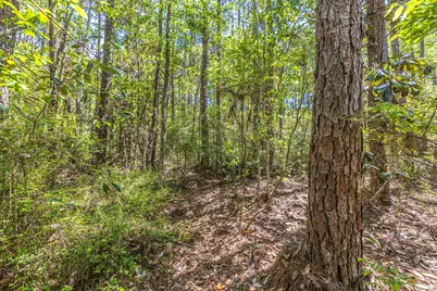 Lot 7 191 Mallet Road, Freeport, FL 32439 - Photo 11