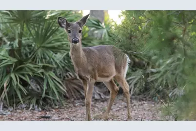 34 Herons Watch Way #UNIT 5101, Santa Rosa Beach, FL 32459 - Photo 29