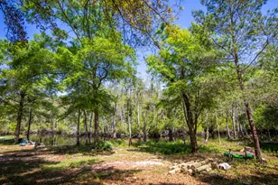 748 Phillips Dr, Freeport, FL 32439 - Photo 49