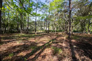 Lot 23 B Bayside Dr, Freeport, FL 32439 - Photo 1