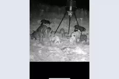 10712 US 331 N, Defuniak Springs, FL 32433 - Photo 51