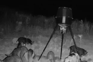 10712 US 331 N, Defuniak Springs, FL 32433 - Photo 51