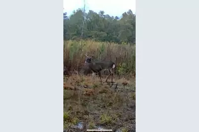 10712 US 331 N, Defuniak Springs, FL 32433 - Photo 53