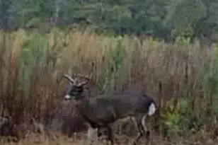 10712 US 331 N, Defuniak Springs, FL 32433 - Photo 53