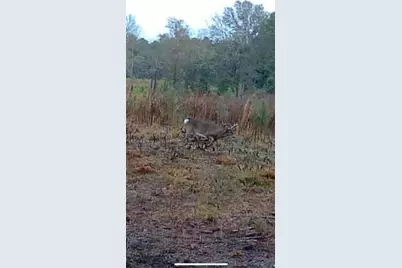 10712 US 331 N, Defuniak Springs, FL 32433 - Photo 55