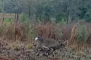 10712 US 331 N, Defuniak Springs, FL 32433 - Photo 55