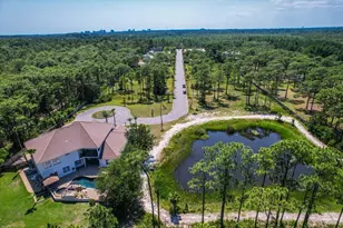 237 Royal Palm Blvd, Santa Rosa Beach, FL 32459 - Photo 107