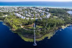 237 Royal Palm Blvd, Santa Rosa Beach, FL 32459 - Photo 109