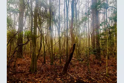 Tbd 2 Acres County Hwy 3280, Freeport, FL 32439 - Photo 5