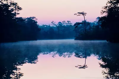 Tbd 2 Acres County Hwy 3280, Freeport, FL 32439 - Photo 9