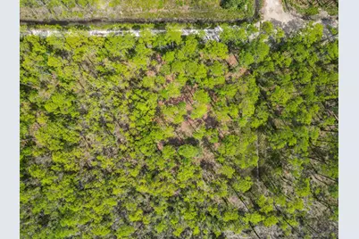 Tbd 13th Street, Santa Rosa Beach, FL 32459 - Photo 3