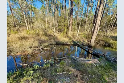 3.45 Acres Bob McCaskill Drive, Defuniak Springs, FL 32433 - Photo 7