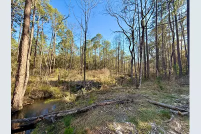 3.45 Acres Bob McCaskill Drive, Defuniak Springs, FL 32433 - Photo 5
