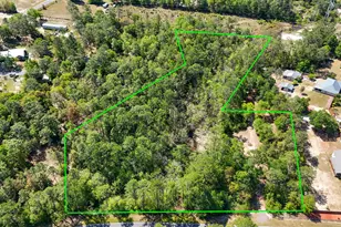 3 45 Acres Bob McCaskill Dr, Defuniak Springs, FL 32433 - Photo 1