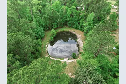 15766 NE Bob Sanders Road NE, Hosford, FL N/A - Photo 19