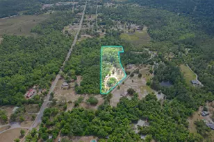 15766 NE Bob Sanders Road NE, Hosford, FL N/A - Photo 33