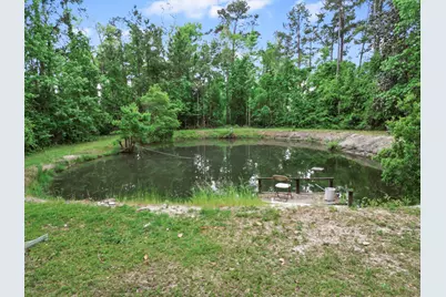 15766 NE Bob Sanders Road NE, Hosford, FL N/A - Photo 17