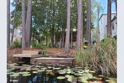 368 Canal Street, Santa Rosa Beach, FL 32459 - Photo 5