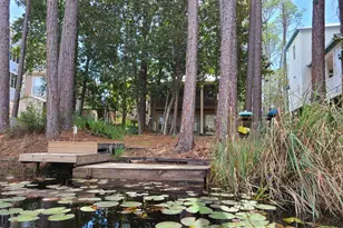 368 Canal St, Santa Rosa Beach, FL 32459 - Photo 5