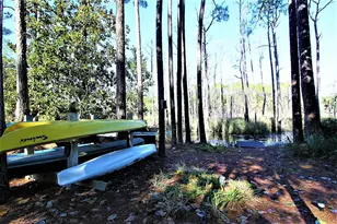 368 Canal St, Santa Rosa Beach, FL 32459 - Photo 7