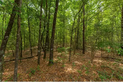 5.31 Ac Xx John Nix Road, Crestview, FL 32539 - Photo 7