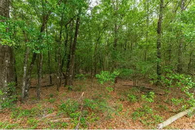5.31 Ac Xx John Nix Road, Crestview, FL 32539 - Photo 9